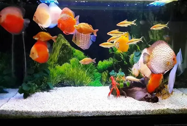 Tổ Tiên Răn Dạy “nghèo Không Sửa Cửa, Giàu Không Dời Mộ", Chớ Phạm Mà Tài Lộc Tiêu Tán, Con Cháu Lao Đao