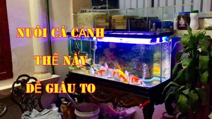 Tổ Tiên Răn Dạy “nghèo Không Sửa Cửa, Giàu Không Dời Mộ", Chớ Phạm Mà Tài Lộc Tiêu Tán, Con Cháu Lao Đao