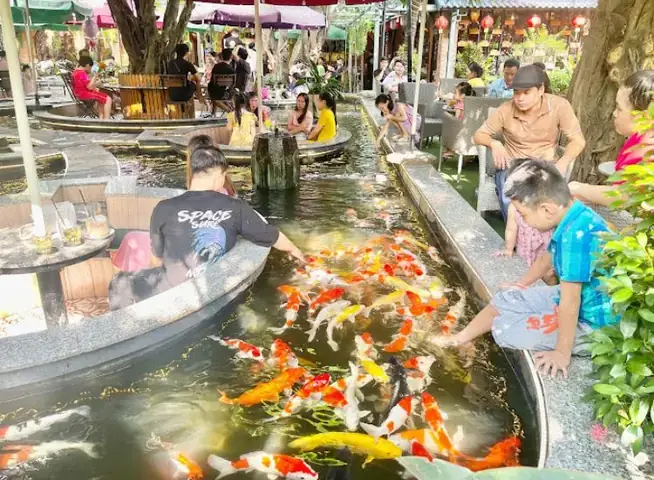 Sakura Koi House: Trải Nghiệm Trà Đạo Giữa Sài Gòn