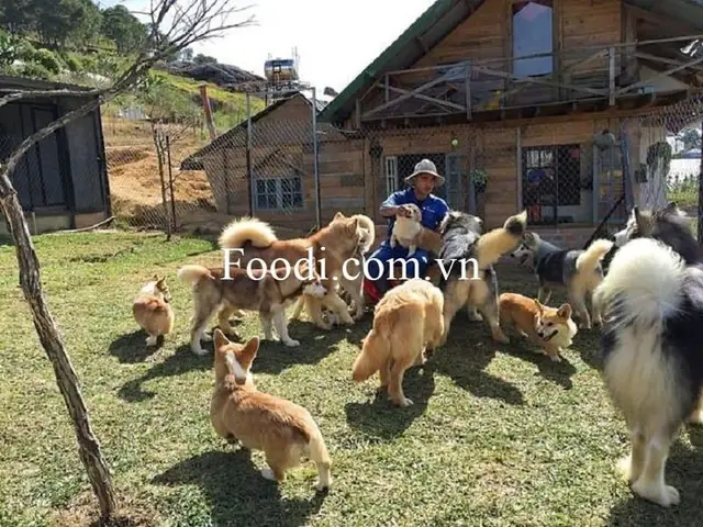 Cà Phê Chó Đà Lạt