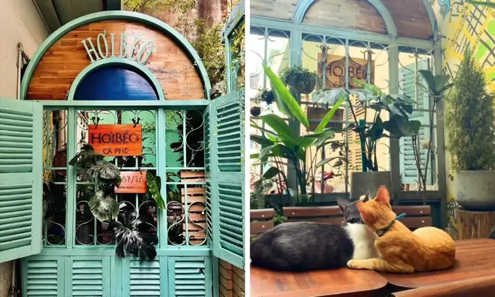 Hơi Béo Cà Phê: Cafe Mèo Quận 1
