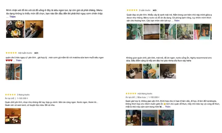 Hơi Béo Cà Phê: Cafe Mèo Quận 1