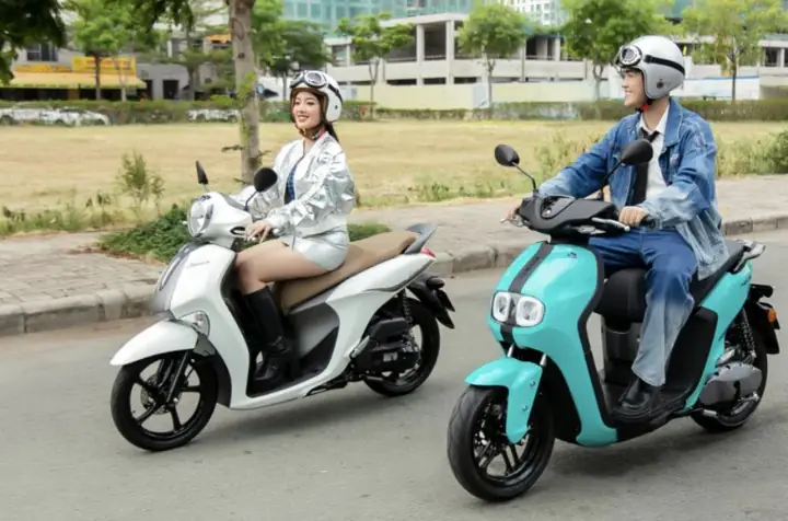 Chuyển Thuận Tiện Đến Quán Cafe Mèo Tp Hcm