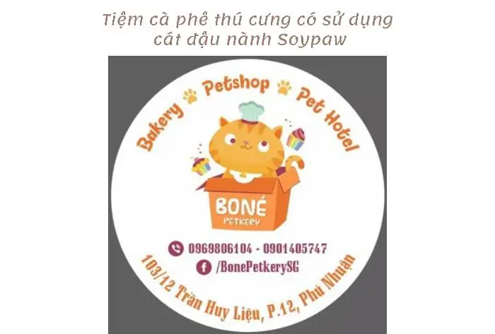 Bo Né Petkery – Cà Phê Thú Cưng Tpchm Quận 11