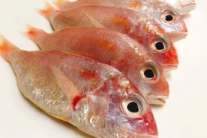 Cá Phèn Là Cá Gì? 3 Cách Nấu Cá Phèn Thơm Ngon Tại Nhà