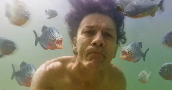 Cá Piranha Có Thực Sự Nguy Hiểm Như Những Lời Đồn?