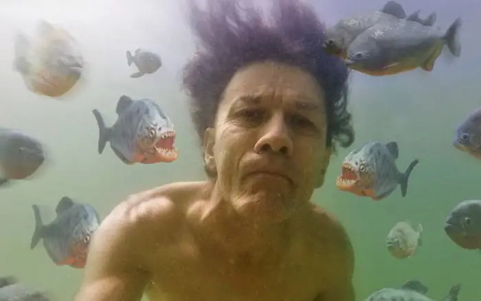 Cá Piranha Sống Ở Đâu? Khám Phá Môi Trường Sống Tự Nhiên Và Đặc Điểm Sinh Học Của Loài Cá Ăn Thịt Nổi Tiếng Cá Piranha Sống Ở Đâu? Khám Phá Môi Trường Sống Tự Nhiên Và Đặc Điểm Sinh Học Của Loài Cá Ăn Thịt Nổi Tiếng