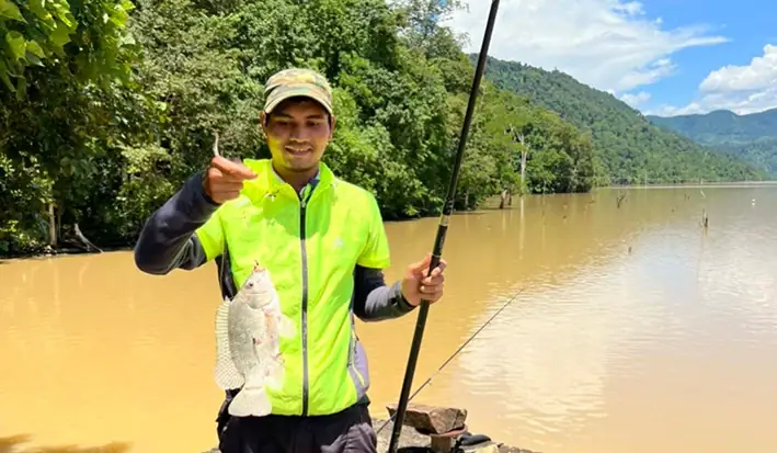 Đặc Sản Cá Rô Phi "khủng" Trên Dòng Sê San | Báo Gia Lai Điện Tử