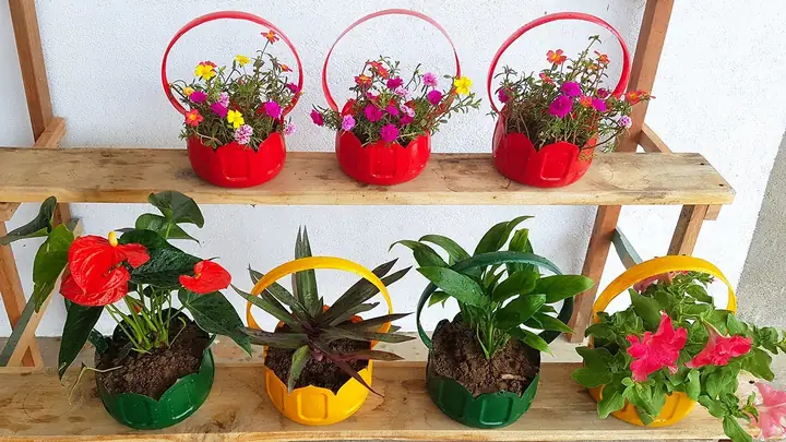 Vì Sao Nên Tái Chế Chai Nhựa Thành Chậu Hoa?