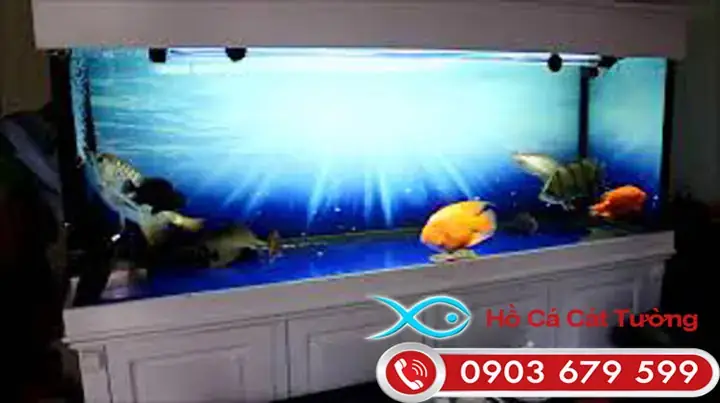 Cá Rồng Chết Báo Hiệu Điều Gì? Những Dấu Hiệu Cần Nhận Biết Và Cách Xử Lý