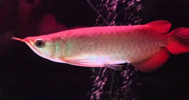 Đảm Bảo Cung Cấp Đủ Nước