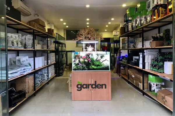 Mua Thức Ăn Cho Cá Rồng Ở Đâu Uy Tín