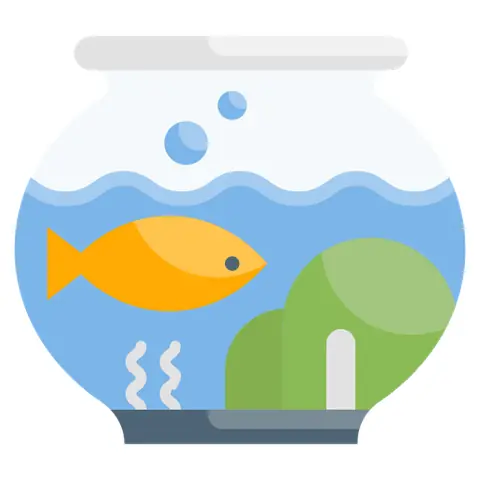 Cá Săn Mồi Đẹp