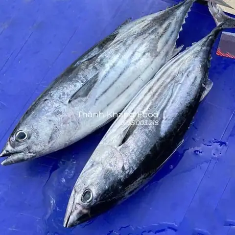 Cá Sọc Dưa (cá Trà Sóc): Đặc Điểm, Giá Bán, Nơi Mua & Món Ngon