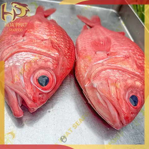 Cá Sơn Đỏ: Giá Bao Nhiêu & Toàn Tập Cách Chọn Mua, Chế Biến Món Ngon