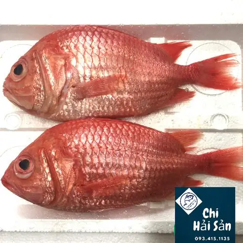 Cá Sơn Đỏ: Giá Bao Nhiêu & Toàn Tập Cách Chọn Mua, Chế Biến Món Ngon