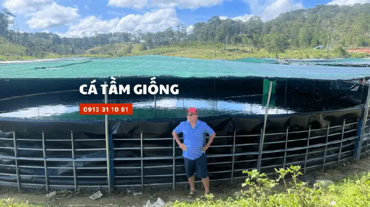 Cá Tầm Giống - Trại Giống Cá Tầm Uy Tín, Chất Lượng #1 Vn