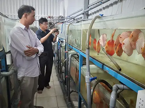 Lam Giau Khac Nguoi: Bat Ca Than Tien De Theo Y Thich Hinh Anh 1