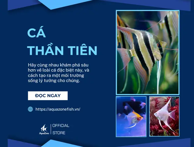 Cá Thần Tiên - Đặc Điểm, Cách Nuôi Và Phương Pháp Phòng Bệnh ...