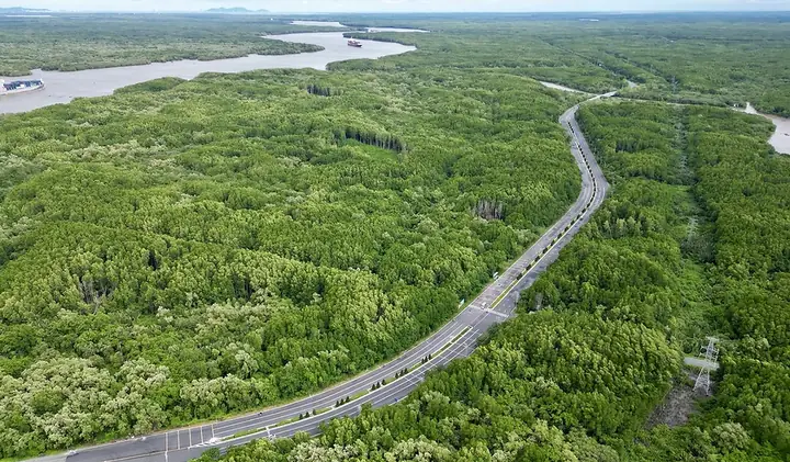 Khám Phá 5 Món Ăn Phải Thử Khi Đến Cần Giờ Mà Có Thể Bạn Chưa ... Khám Phá 5 Món Ăn Phải Thử Khi Đến Cần Giờ Mà Có Thể Bạn Chưa ...