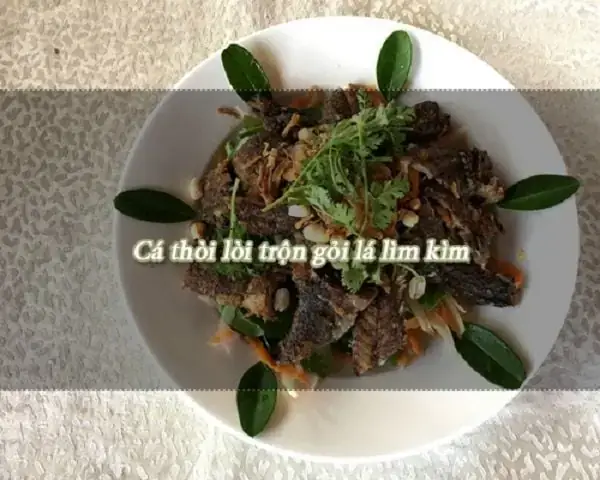 Khám Phá Cá Thòi Lòi Cần Giờ: Những Điều Bạn Cần Biết - Aquatech Khám Phá Cá Thòi Lòi Cần Giờ: Những Điều Bạn Cần Biết - Aquatech