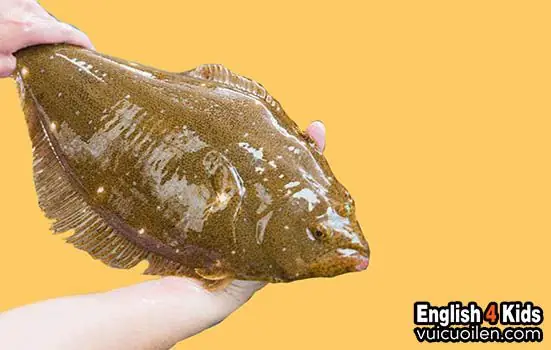 Xem Thêm Một Số Con Vật Khác Trong Tiếng Anh Xem Thêm Một Số Con Vật Khác Trong Tiếng Anh