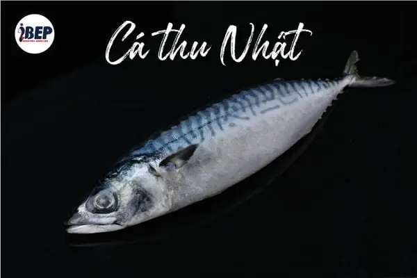 Cá Thu Nhật Bao Nhiêu 1kg, Làm Món Gì Ngon – Ibep - Thực Phẩm ... Cá Thu Nhật Bao Nhiêu 1kg, Làm Món Gì Ngon – Ibep - Thực Phẩm ...