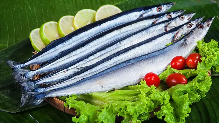 Cá Thu Nhật Có Chứa Thủy Ngân Không? - Nhà Thuốc Fpt Long Châu Cá Thu Nhật Có Chứa Thủy Ngân Không? - Nhà Thuốc Fpt Long Châu