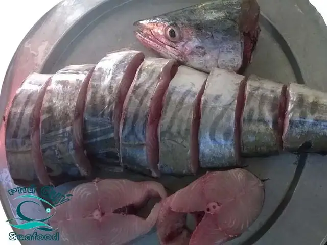 Cá Thu Phấn Nhỏ: Khám Phá Toàn Diện Loài Cá Biển Nhỏ Bé Nhưng Đáng Kinh Ngạc