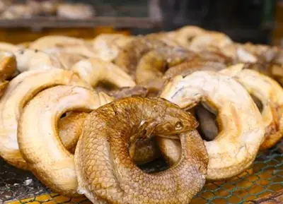 Mẹ Ơi, Cá Thửng Kho Chưa?