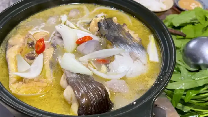 Cá Tra Da Bò Là Gì? Nguồn Gốc Và Phân Loại