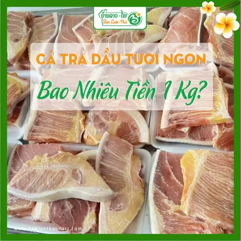 Cá Tra Dầu Tươi Ngon Bao Nhiêu Tiền 1 Kg?