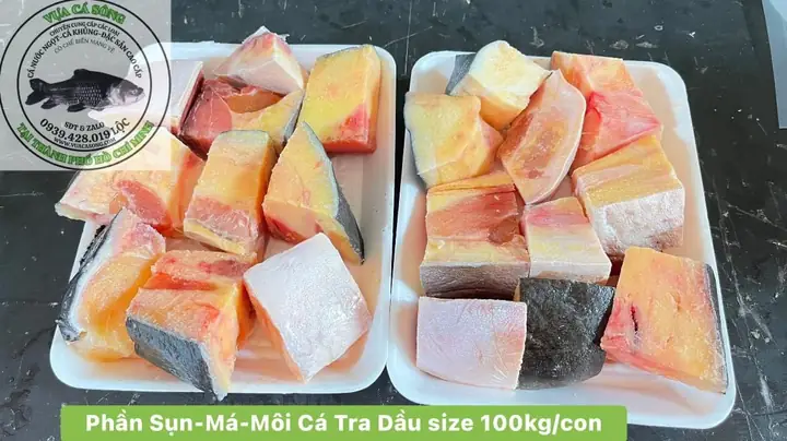 Cá Tra Dầu Khủng (phần Sụn-má-môi, Cắt Nhỏ Khay 1kg)