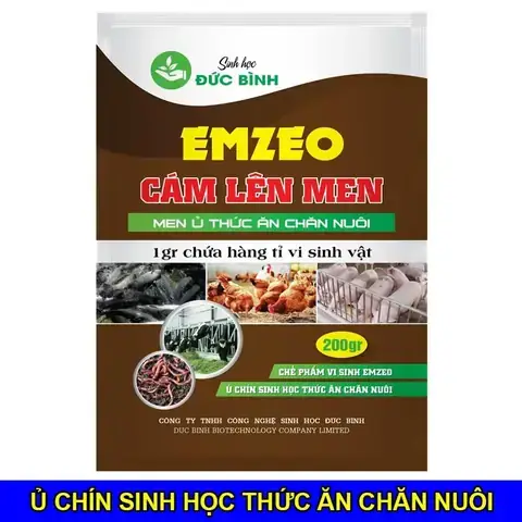 Kết Luận Kết Luận