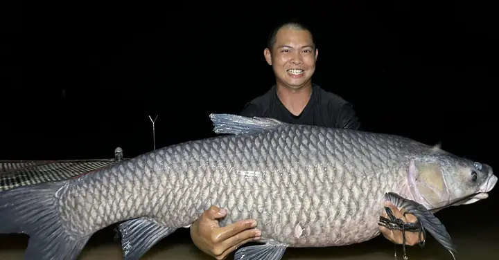 Sau Ba Năm Săn 'thủy Quái', Câu Được Cá Trắm Đen Nặng 40kg - Tuổi ...