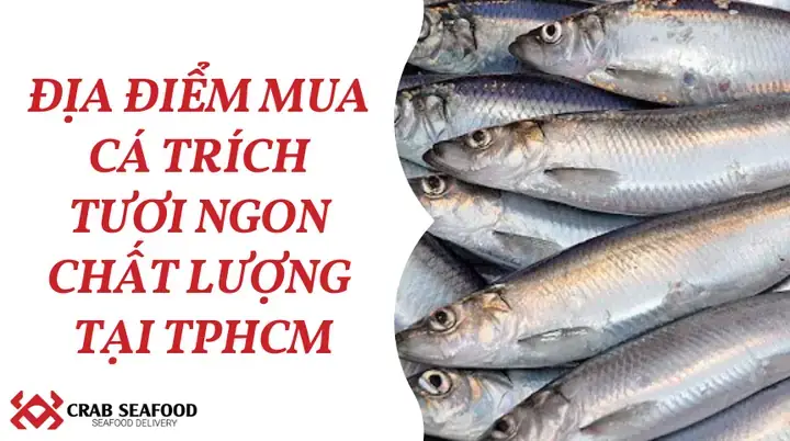 Chống Lão Hóa, Dưỡng Da Khỏe Đẹp Chống Lão Hóa, Dưỡng Da Khỏe Đẹp