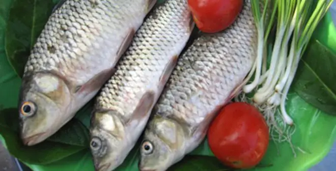 Chuyên Bán Buôn, Bán Lẻ Cá Trôi Cho Nhà Hàng, Quán Ăn Giá Rẻ Tại Hà Nội