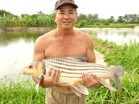 Chuyện Về Loài Cá Có Tên Trong Sách Đỏ Thế Giới