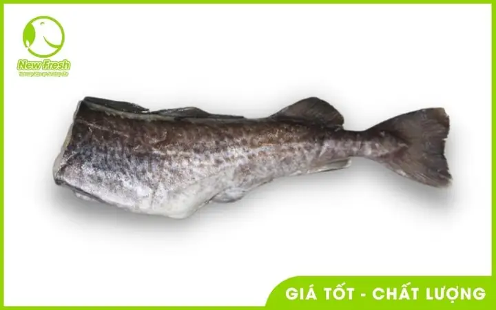 Giá Trị Dinh Dưỡng Của Cá Tuyết Nhật Bản