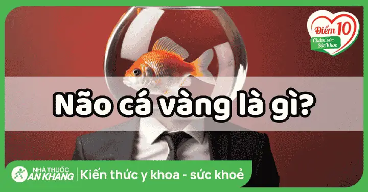 Não Cá Vàng Là Gì? Nguyên Nhân, Dấu Hiệu Và Cách Cải Thiện