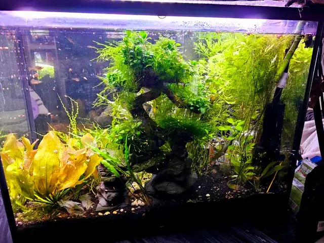 Các Bệnh Thường Gặp Ở Chó Con Mới Sinh: Dấu Hiệu, Phòng Ngừa Và Cách Xử Lý Các Bệnh Thường Gặp Ở Chó Con Mới Sinh: Dấu Hiệu, Phòng Ngừa Và Cách Xử Lý