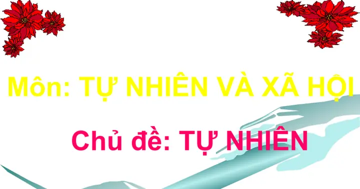 Con Ca - Google Trang Trình Bày