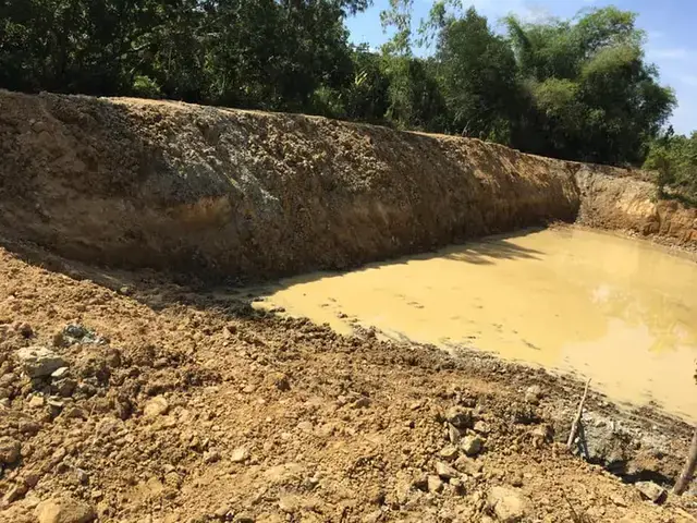 Các Bước Thực Hiện Đào Ao Nuôi Cá Chi Tiết