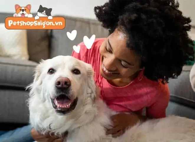 Các Giống Chó Giữ Nhà Tốt Ai Cũng Nên Sở Hữu