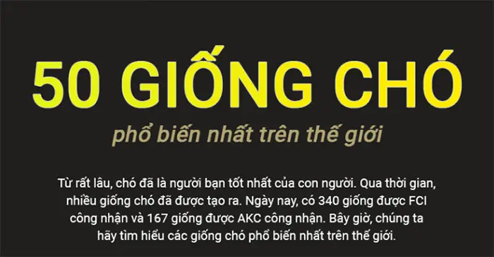 Top 50 Giống Chó Phổ Biến Nhất Thế Giới