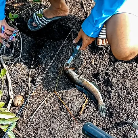 Kiểu Câu Cá Lóc Thông Dụng, Dễ Câu Và Có Hiệu Quả Cao Nhất