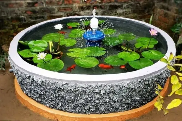 Bảo Quản Chậu Nuôi Cá Khi Không Sử Dụng