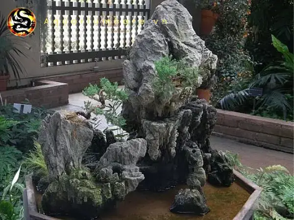 Các Loại Cá Cảnh Phổ Biến Và Phù Hợp Cho Hòn Non Bộ Các Loại Cá Cảnh Phổ Biến Và Phù Hợp Cho Hòn Non Bộ