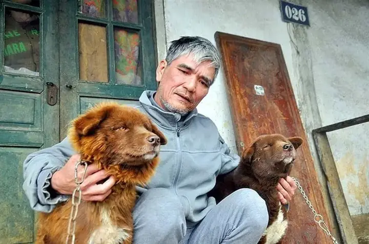 "tứ Đại Quốc Khuyển" Của Việt Nam Gồm Những Giống Chó Quý Hiếm Nào? - Ảnh 1.