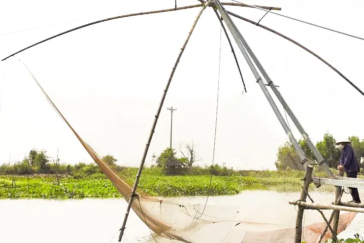 Rủ Nhau Đi Bắt Cá Đồng - Báo Khánh Hòa Điện Tử